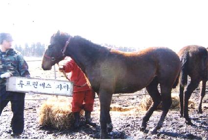 ��õ��� ����