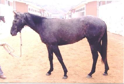 õ���� ����