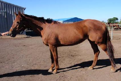 ��ܱ� ����