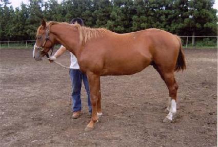 �ٶ���� ����