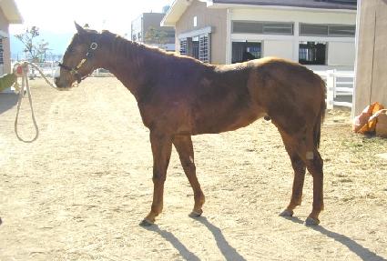 �ϵ���� ����