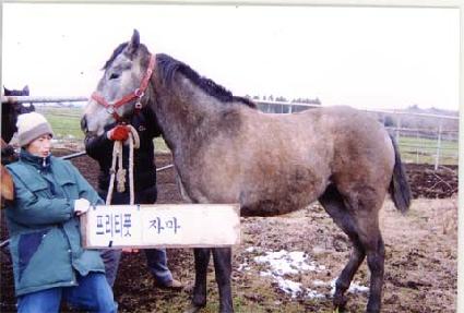 �������� ����