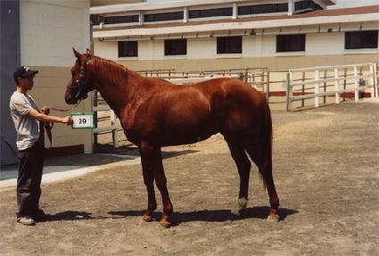 �ÿ��� ����