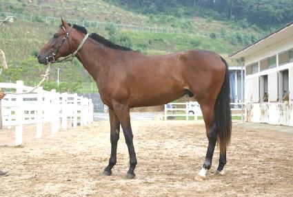 ������� ����