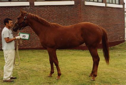 ��ġ ����