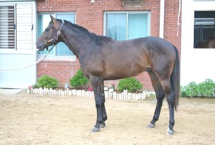 ������ȣ ����