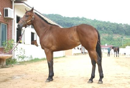 �ż� ����