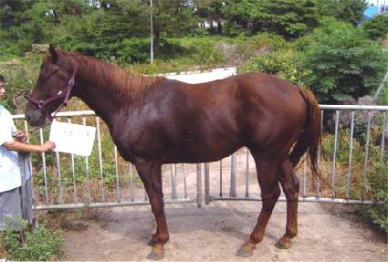 �ڿ촩�� ����