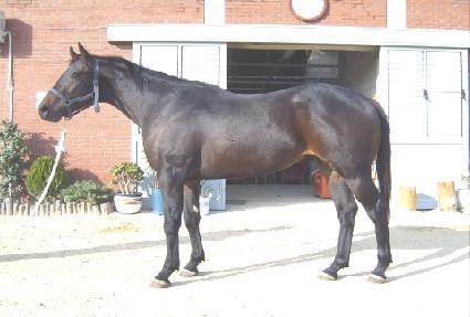 ����� ����