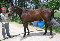 ������ũ (SPIKE) ����