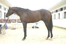 �뼼 (DAESE) ����