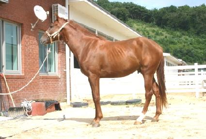 �±��ȭ ����