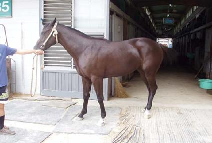 ū�̸� ����