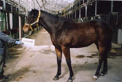 �̼̽ҽ� ����