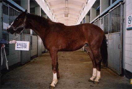 ������� ����