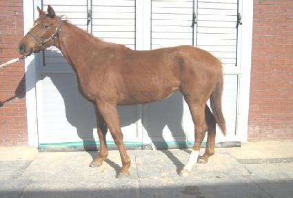 õ���� ����