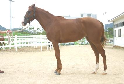 ���̵�ũ��� ����