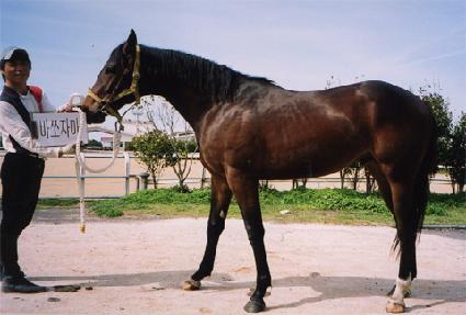 �������� ����