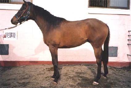 �´޻� ����