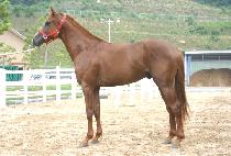 ���ѿ��� (JINHANUJEONG) ����