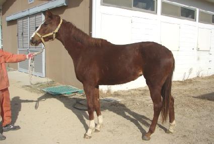 �Ѹ����Ѷ� ����