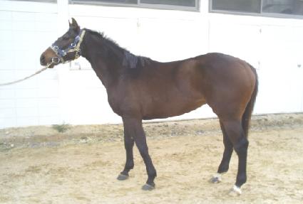 ���� ����