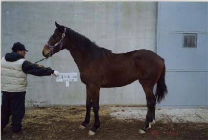 ĳ���� ����