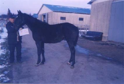 �������� ����