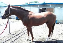 SECRET WEAPON picture