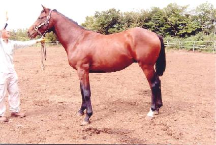 ��ȭ�屺 ����