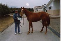 �̴밨 (LEEDAEGAM) ����