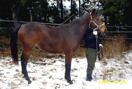 ���Ƹ� ����