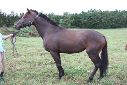 ����ȭ�� ����