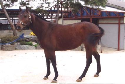 ����ũ�� ����