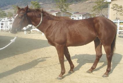 ���� ����