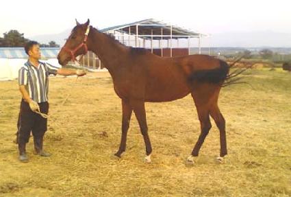 �������� ����