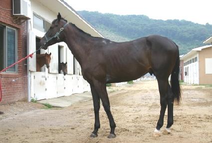 ������ ����