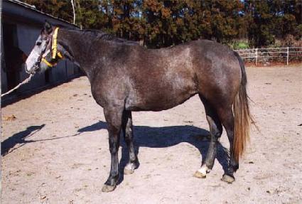 �ع� ����