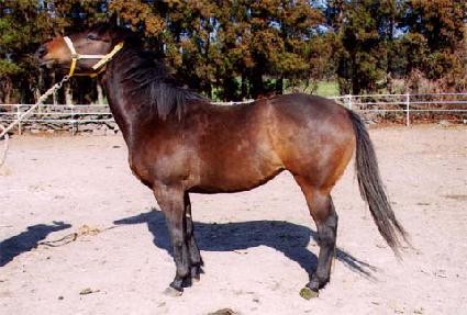 �̽ý� ����