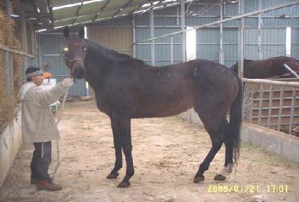 �ֵ����� ����