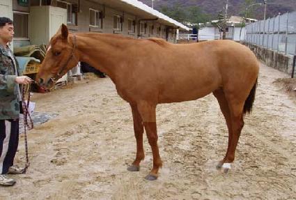 ��ǳ�ǿ��� ����