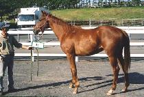 ȣ�ɴ��� (HORYEONG DAEJANG) ����