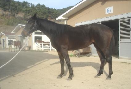 ��ǳ�� ����