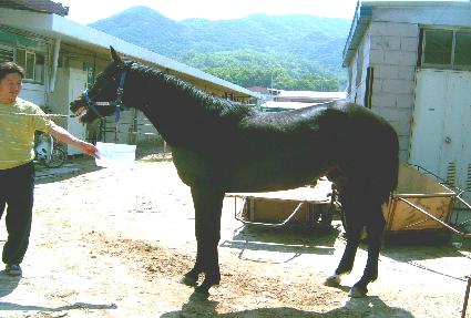 �������� ����