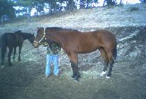 �뱹�� (DAEGUKSEON) ����