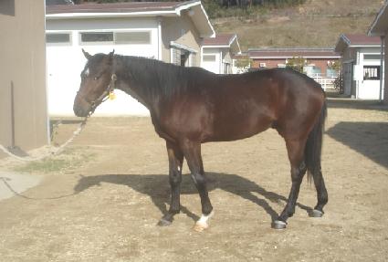 ������ ����