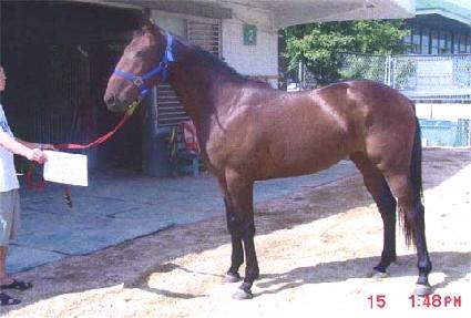 ���ϼ� ����