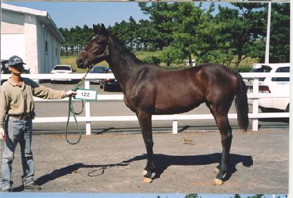 �����Ǻ� ����