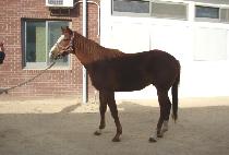 �������� (EUNBIT CHALLAN) ����