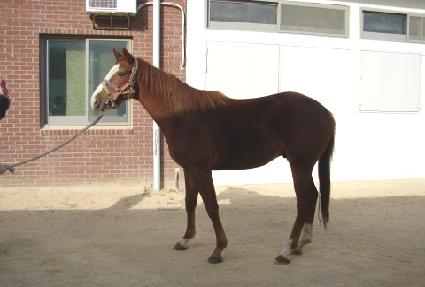 �������� ����